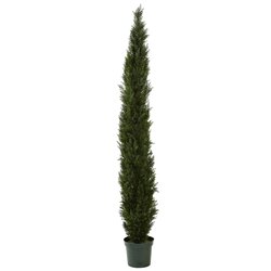 8' Outdoor Mini Cedar Pine Tree 4249 Tips In 12” Pot (Two Tone Green)
