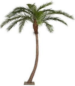 14' Phoenix Palm Tree - Curved - Synthetic Brown Trunk - 5" Diameter - 13 Fronds - Metal Base Pla...