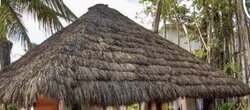 30-36″ x 24″ Outdoor Natural Thatch Made from Mexican desert palm tree fronds