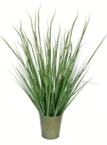 28 inches Green Reed Grass In Iron Pot