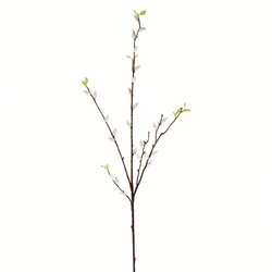 36" Pussy Willow Stem Spray Gray