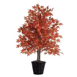 4' Orange Maple Bush in Basket