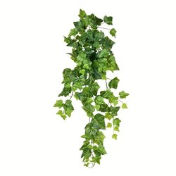 36" Large Hanging Ivy Bush