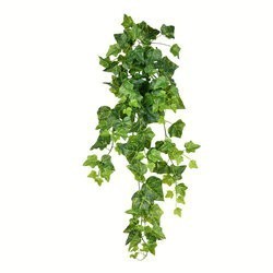 36 inches Hanging Ivy Bush 118 Leaves