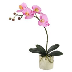 20" Potted Orchid Lavender