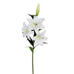 36" White Lily Spray 2/pk