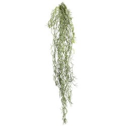 29.5 inches Tillandsia Root Moss