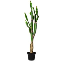 57" Green Potted Cactus