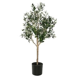 5' Green Potted Olive Tree