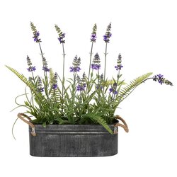 16" Lavender Flower Fern in Iron Pot