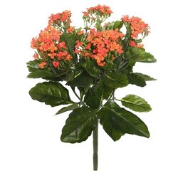 17.25" Orange Kalanchoe Bush