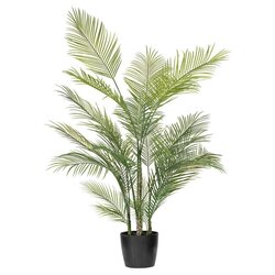 70.5" Green Areca Palm Plant