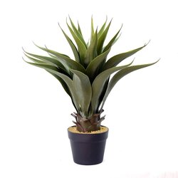 22" Green Potted Aloe Vera Indoor/Outdoor