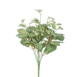 17" Artificial Green Fittonia Bush