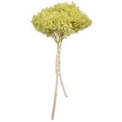 15" Apple Green Hydrangea Stem