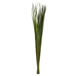 36-40" Green Sable Grass - 7 oz.