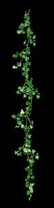 72” English Ivy Garland  175 leaves Fire Rated