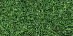 FIRESAFE RAFFIA GRASS Role | 6 feet L X 3.25 feet W SHEET