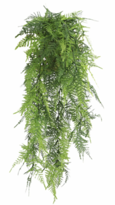 30 Inch Long 6" Wide Outdoor/Fire Rated Hanging Lace Fern Garland Bushes – Vivid Green   UV Resis...
