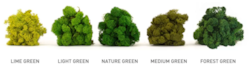 Preserved Reindeer Moss *** 2.25 LBS per Box*** Fire Retardant