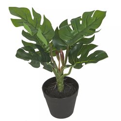 10 Inch Natural Touch Potted Philo Plant