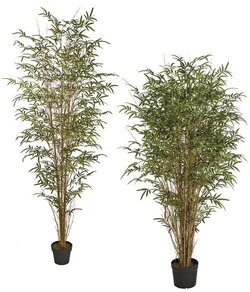 BAMBOO PALM TREE WITH NATURAL TWIG/CANES | 6 FOOT OR 7 FOOT