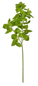 24 Inch Basil Leaf Spray