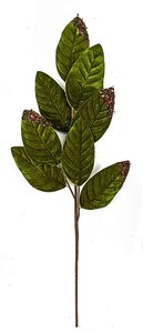 27 Inch Green Velvet Magnolia Spray with Brown Sequins