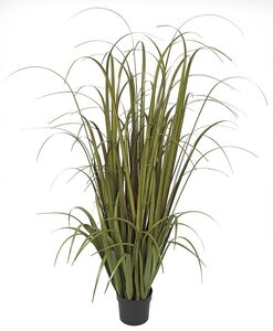 Earthflora's 68 Inch Fire Retardant Onion Grass - Mixed Green/red