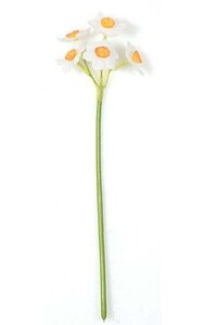 12 inches Daffodil Stem  - 5 Flowers (sold by dozen)