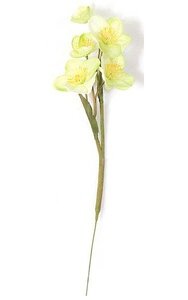 12 inches Tuberose Stem - 5 Green Silk  Flowers - 2 Leaves (Sold by dozen)