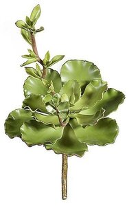 17 inches x 10 inches Succulent - Natural Touch - Green