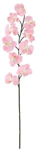Earthflora's  39 Inch Ifr Butterfly Orchids - Pink, Orchid Purple, Or White-FIRE RETARDANT