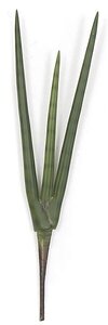 20 inches Plastic Sansevieria Plant - Tutone Green - 5 inches Width - 6 inches Stem - Bare Stem -...