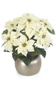 24 inches Poinsettia Bush - 36 Leaves - 7 Flowers - Cream - Bare Stem