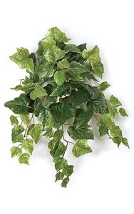 27 inches London Ivy Bush - 86 Variegated Green Leaves - 20 inches Width