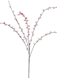 Earthflora's 36 Inch Japanese Serissa Branch