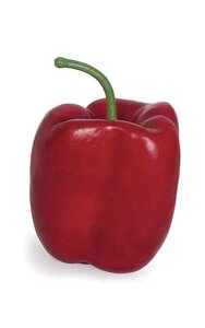 4.5”x 3” Plastic Pepper - Red