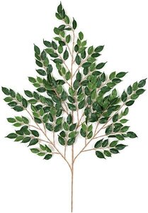 33 inches Nitida Ficus Branch - 191 Leaves - Green - FIRE RETARDANT