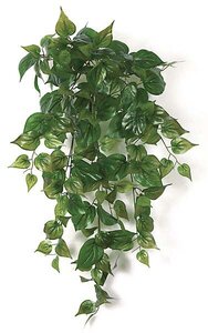 33 inches Philodendron Vine Bush - Soft Touch - 162 Green Leaves