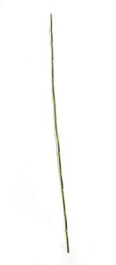 35 inches Plastic Equisetum - Natural Green