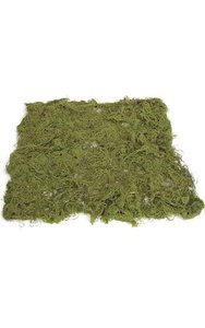 36 inches x 36 inches Moss Mat - Green