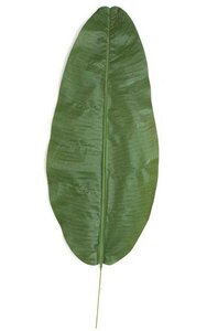 39 inches Banana Palm Leaf - Green