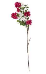 44 inches Bougainvillea Stem - 5 Flowers - 23 inches Stem