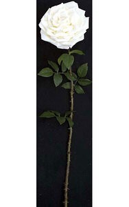 Velvet Rose Single Stem - White Flower - 4 Green Leaf Clusters