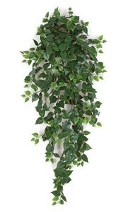 48 inches Mini Philodendron Bush - 547 Leaves - Green