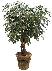 5 feet Ficus Tree - Natural Trunks - 2,352 Leaves - Green- Custom Made