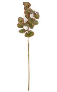 54 inches Eucalyptus Stem - 16 Red/Green Leaves - 11 inches Width