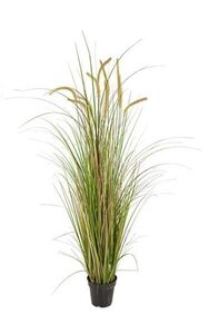 56 inches PVC Foxtail Onion Grass - Fire Retardant- 10 Flowers - Cream/Green