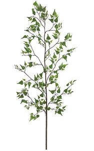 6 Foot  Birch Branch - 211 Green Leaves - 56 Green Buds - Bare Stem